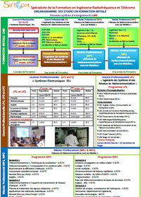 Organigramme des études en Formation initiale